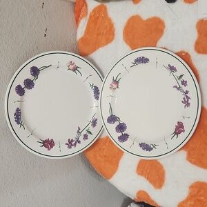 Williams-Sonoma LE JARDIN Salad Plates Portugal  9" Set of 2